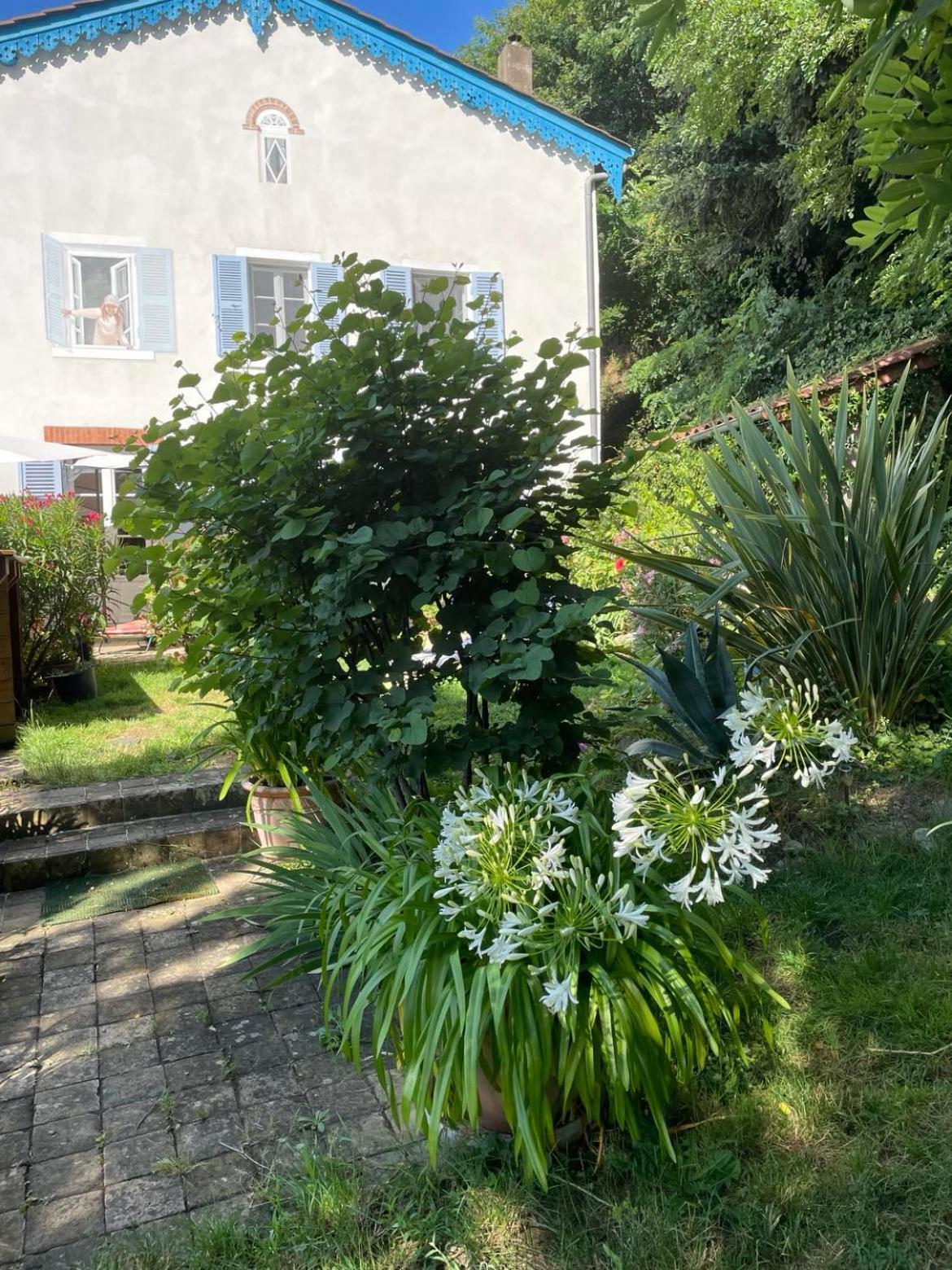 Les Agapanthes Bed & Breakfast Vaux-en-Beaujolais Exterior photo